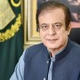 Media arrears of Rs 1.1 billion have been paid: Shibli Faraz