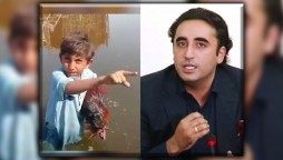 Child Lashes out at Bilawal, whose Rooster died after drinking contaminated water
