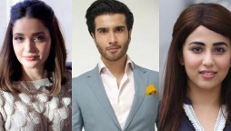 Pakistani celebrities lash out on motorway rape incident