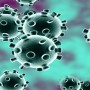 US sets record with highest number of corona virus tests in a day