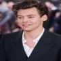 Does Harry Styles have a 3-year-old daughter?