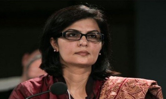 Dr Sania Nishtar directs to establish cyber crime wing for Ehsaas programme