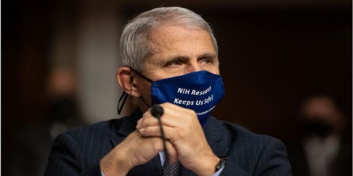 Dr. Fauci