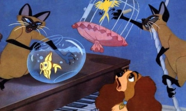 Disney warning