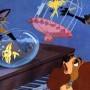Disney updates content warning for racism and stereotypes