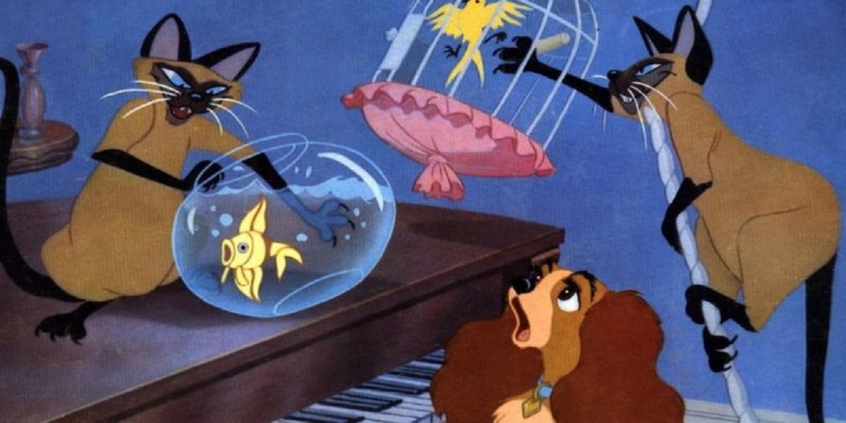 Disney warning