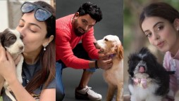 These celebrities love animals more than humans
