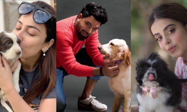 These celebrities love animals more than humans | BOL News These celebrities love animals more than humans | BOL News