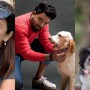 These celebrities love animals more than humans