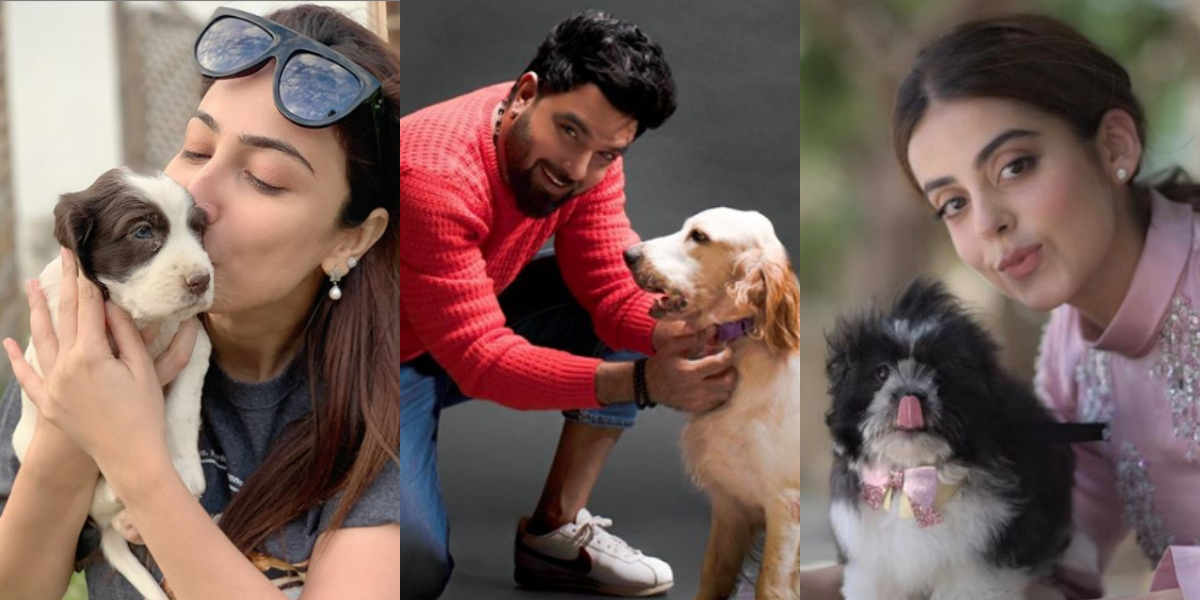 Celebrities with animals