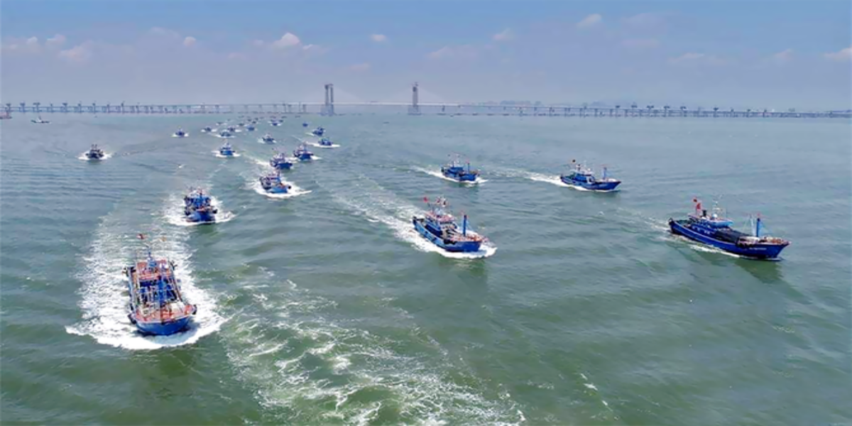 Chinese Boats Align in Karachi: three-Million Fishermen at risk of losing livelihoods