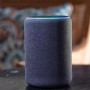 Smart speakers by Amazon turn out to be much beneficial: Survey