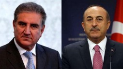 FM Qureshi telephones Turkish counterpart