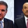 FM Qureshi telephones Turkish counterpart to discuss matters of mutual interest