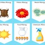 Allergies: Types, Triggers, Treatment and Prevention
