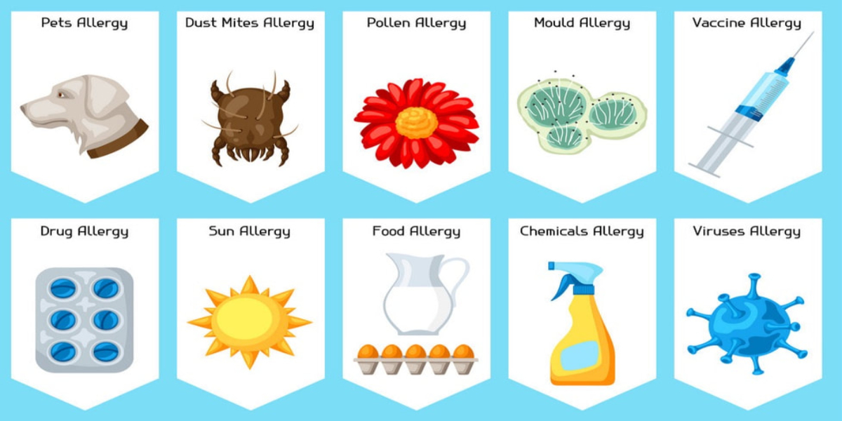immune system