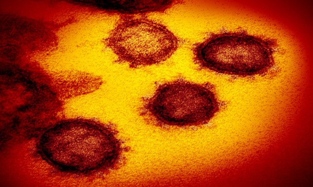 Experts say Covid-19 stays activated on skin for nine hours