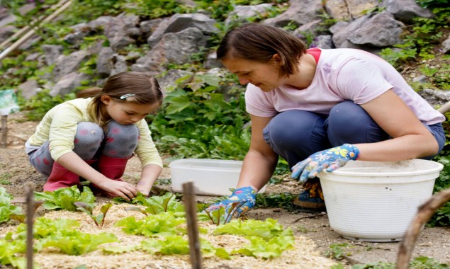 Gardening