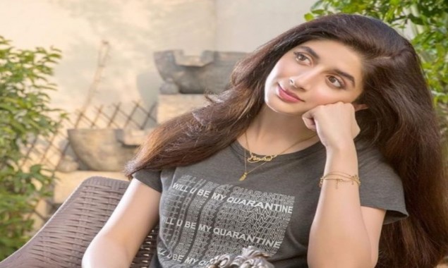 Mawra Hocane on crticism