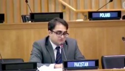 Pakistan exposes brutal face of India at United Nations