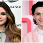 Selena Gomez, Timothée Chalamet detailed about upcoming US elections