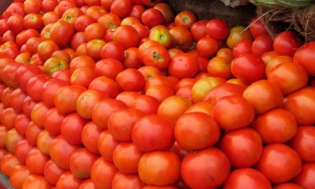 Tomatoes to import from Iran