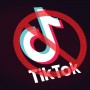 TikTok banned in Pakistan? PTA Blocks TikTok services in Pakistan