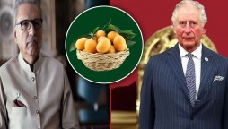 Prince Charles thanks President Alvi for sending Pakistani mangoes