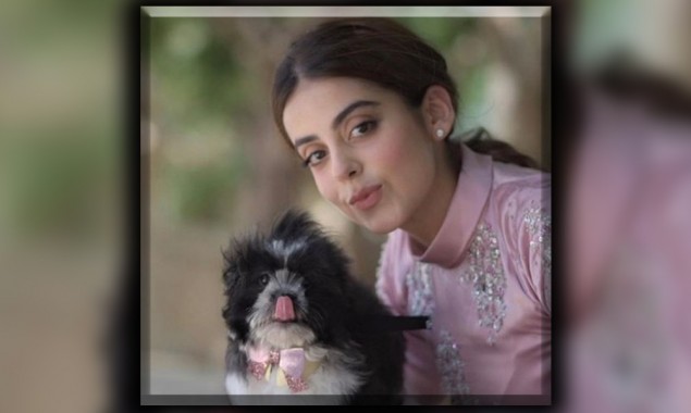 Yashma Gill demands justice for her dogs