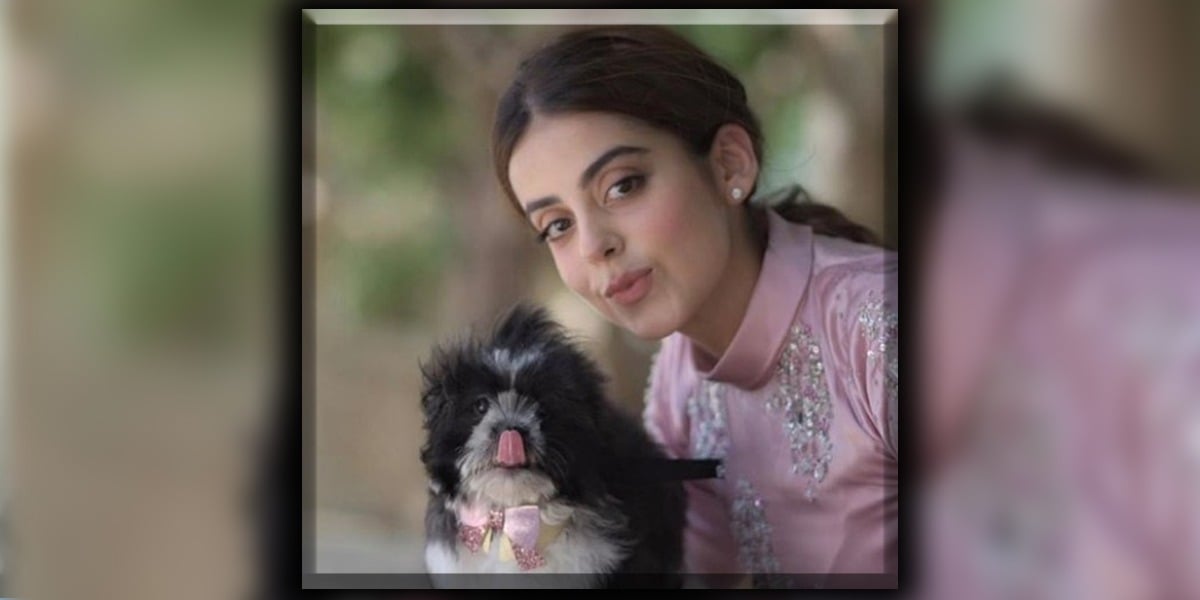 Yashma Gill dogs