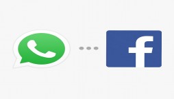 Facebook WhatsApp Business