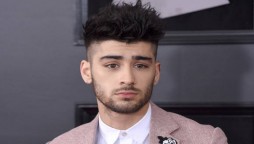 Zayn Malik new projects