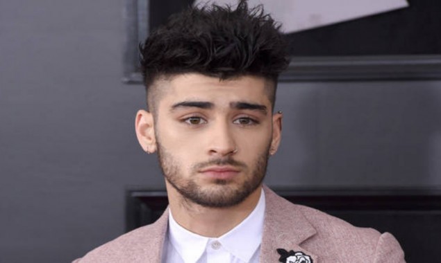 Zayn Malik new projects