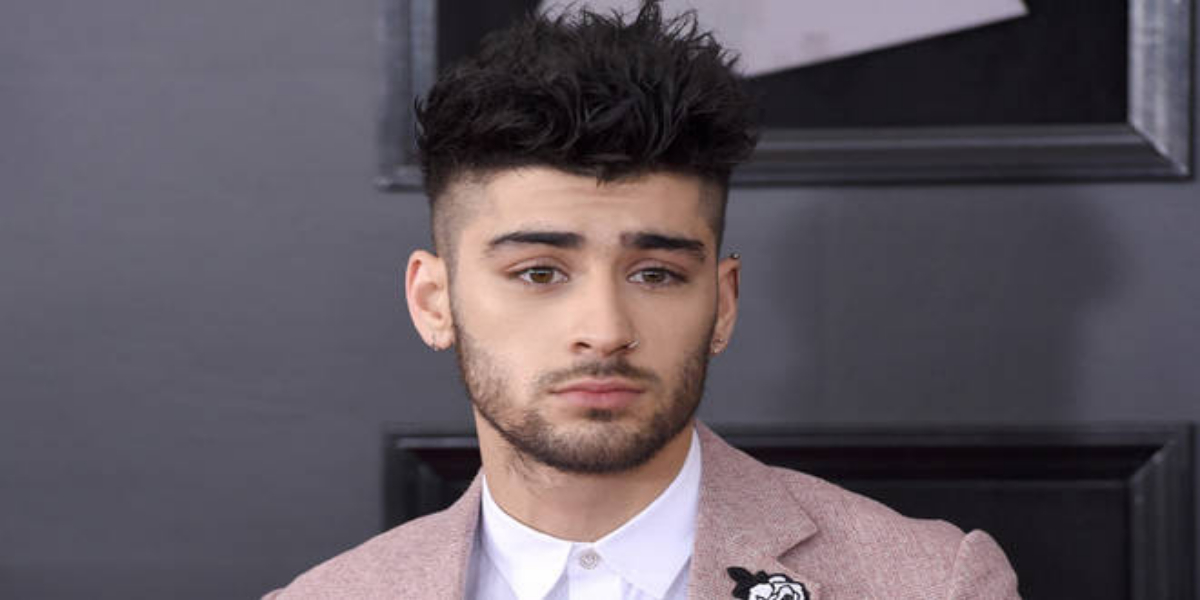 Zayn Malik new projects