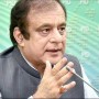 Those Who Spread Uncertainty Will Be Held Accountable: Shibli Faraz