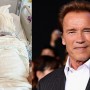 Arnold Schwarzenegger involved in a multi-vehicle accident