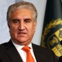 FM Qureshi claims Indian forces persecuting Muslim minority in IoJK