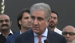 India Will Fail To Blacklist Pakistan In FATF: Foreign Minister