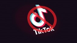 Sindh High Court Orders Banning TikTok In Pakistan