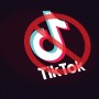 Sindh High Court Orders Banning TikTok In Pakistan