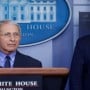 US Election 2020: White House accuses Dr. Fauci of ‘playing politics’