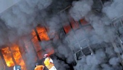 Fire outbreak in FFC Sindh plant, no casualties reported