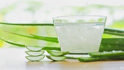 Health Benefits For Drinking Aloe Vera Juice Daily