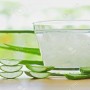 Health Benefits For Drinking Aloe Vera Juice Daily