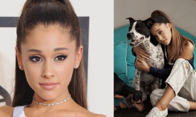 Ariana Grande’s new website to rescue stray animals is on its way