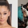 Ariana Grande’s new website to rescue stray animals is on its way