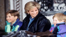 Princess Diana Would Do Everything To Unite Her Sons