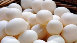 Egg prices soar 50%, resolution submitted in Punjab Assembly