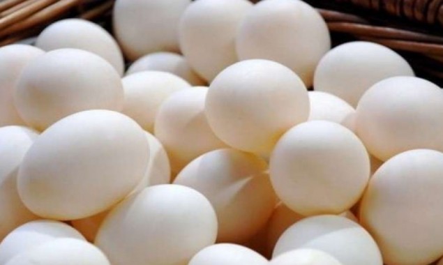 Egg prices soar 50%, resolution submitted in Punjab Assembly