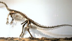 Climate Change Ravaged Dinosaurs Not Once But Twice